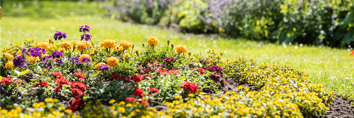 Rabatte im Garten