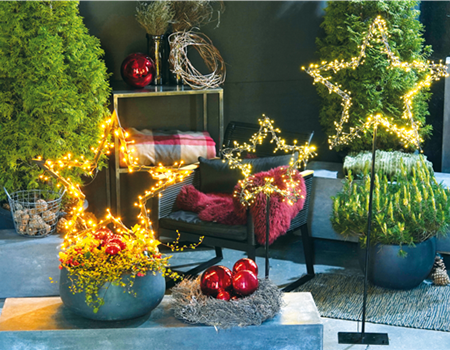 LICHTBLICKE IM WINTER-GARTEN! LICHTBLICKE IM WINTER-GARTEN!