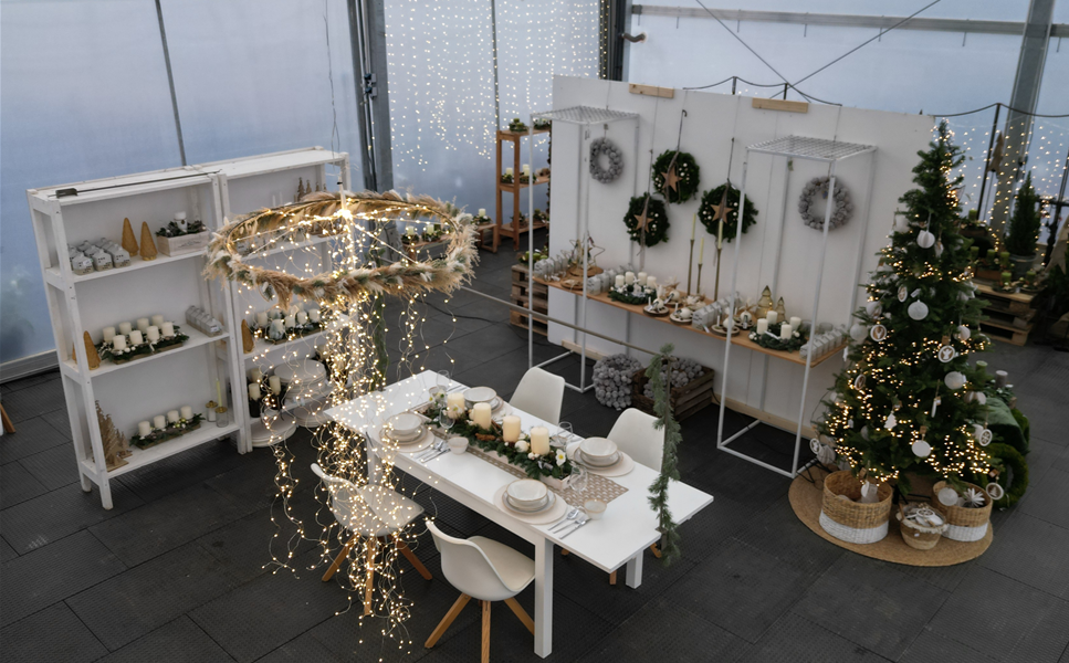 Herzlich Willkommen! - in der Gärtnerei Schliebener Herzlich Willkommen! - in der Gärtnerei Schliebener